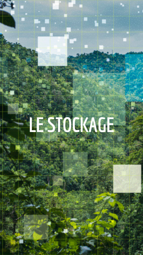 ARCHITECTURE ET STOCKAGE DES DONNÉS