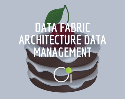 data fabric data management